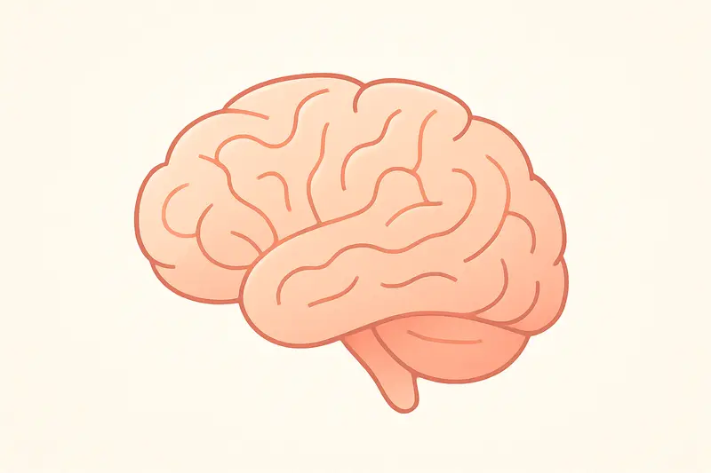 Drawing of a brain. Image by ChatGPT