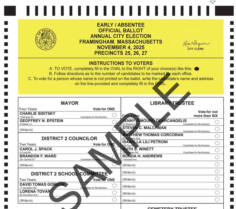 partial sample ballot